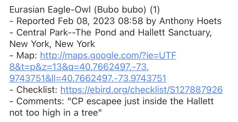 Scale of 1-10, how crazy is Central Park going to get?