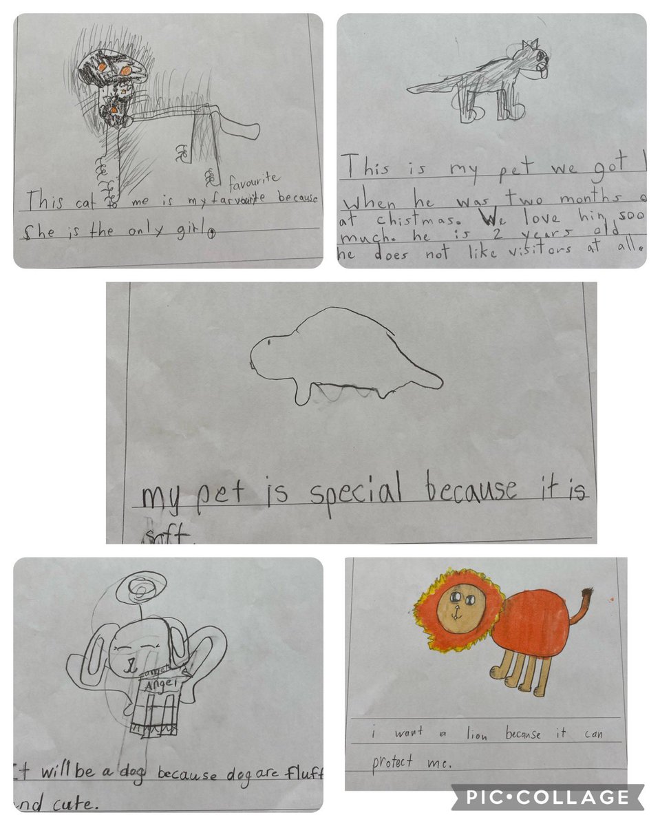 AllSaintsLib's tweet photo. After reading the  @ForestofReading nominated book “Rodney was a Tortoise, students reflected on pets they love, pets they loved but have passed away, and pets they would love to have. Thanks to @MartinsonMlle’s class for sharing stories of their beloved pets. @AllSaintsDPCDSB https://t.co/1aNm76qrQj