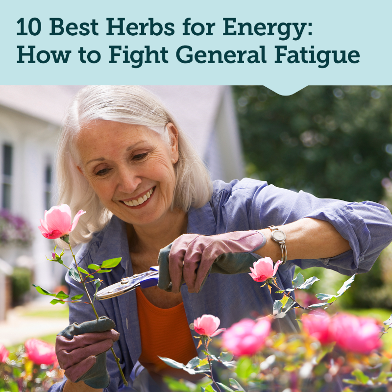 LifeExtension's tweet photo. Need some help when your #energy starts to lag? These #herbs provide steady support to help you fight #fatigue daily. 🔋 #generalfatigue #wellness #longevity #energyboost #health