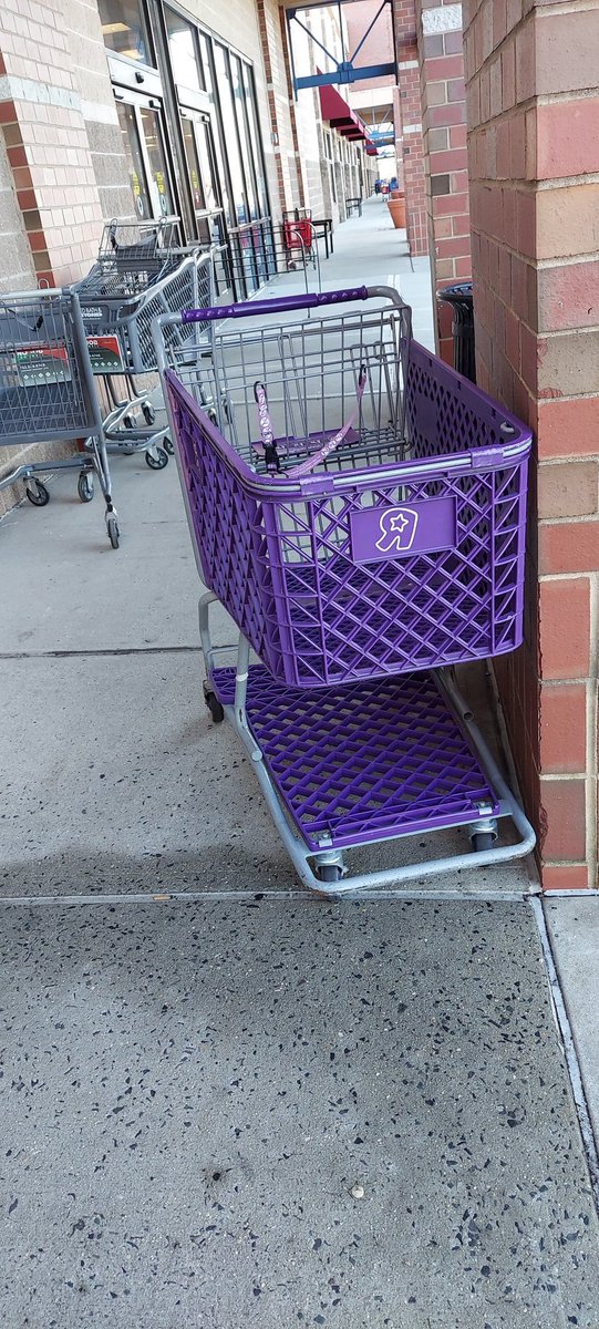rogue toys r us shopping cart spotted in a shopping center that has never had a toys r us