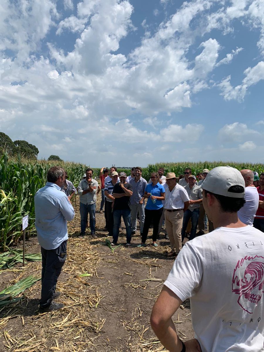 Neogensemillas's tweet photo. Ayer estuvimos presentando materiales de #maíz 🌽 en la gran jornada del @crea_arg  Mar y Sierra. https://t.co/lyAf12e5dM