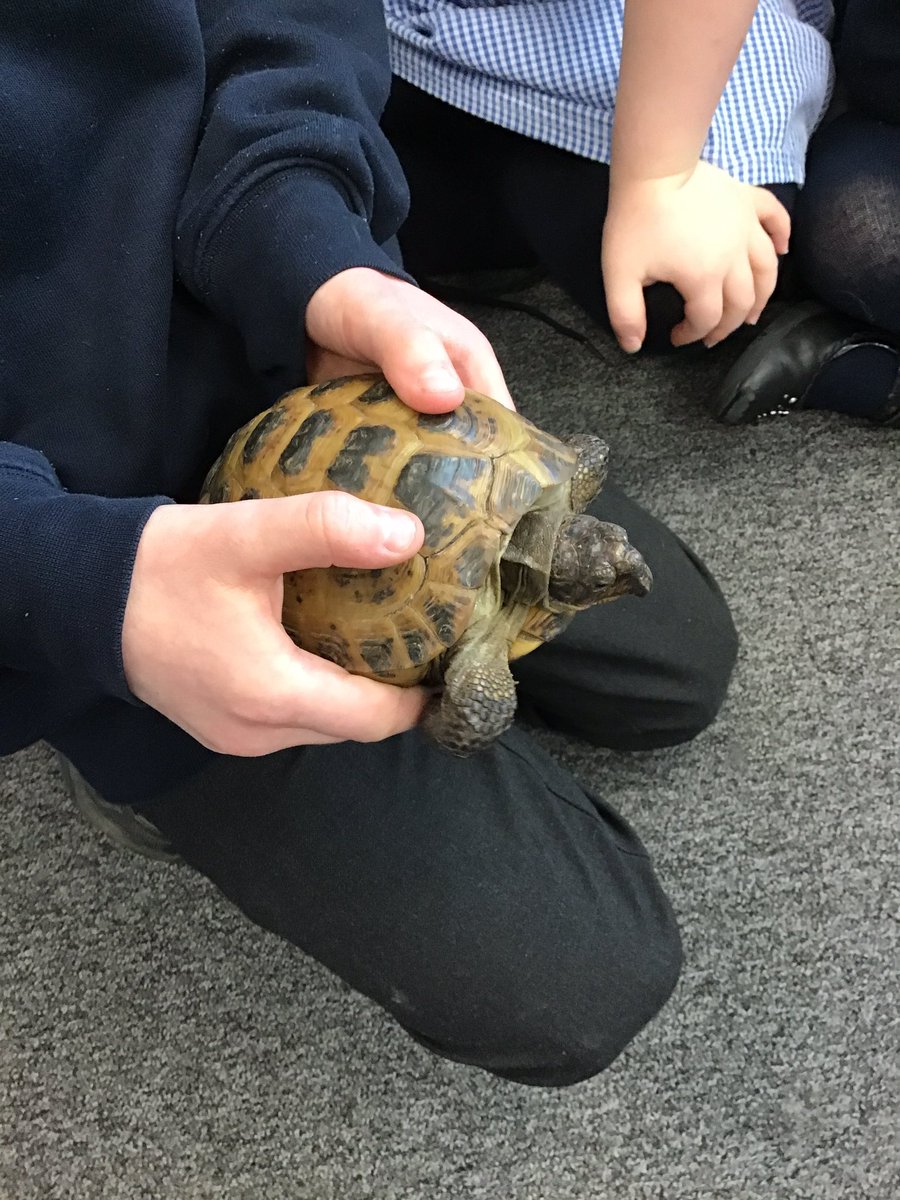 Calverley Parkside tweet media