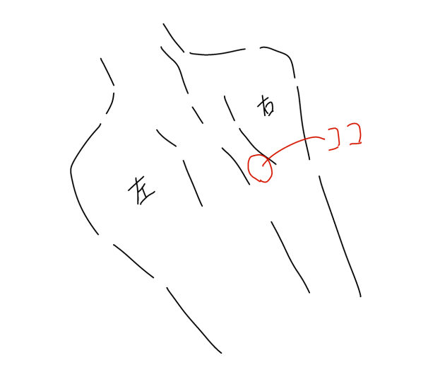 背中の肩甲骨と背骨の間辺りがビキビキいってメチャクチャ痛い・・・
呼吸もきつくて咳き込んだりしたら激痛が走るなんだこれ。
バグった痛さだ。
どうやって治すんだ。 