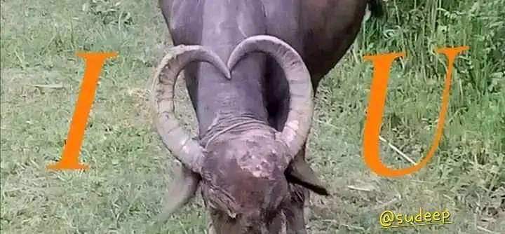 @Cj4yjiZ <a href="/wagle_07/">अमुर्त ®✌</a>