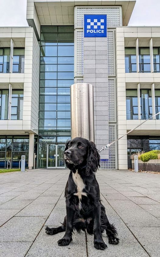 Durham Constabulary tweet media