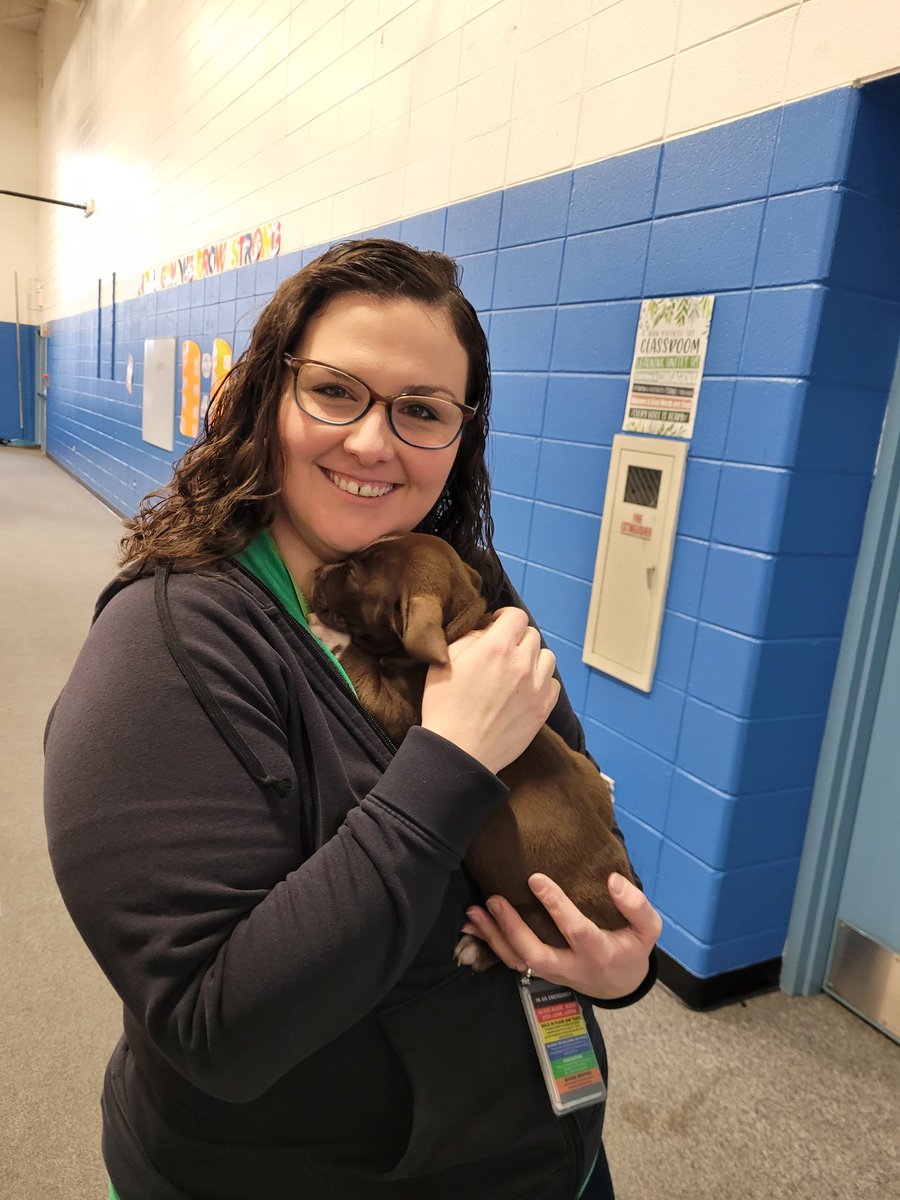 Vseppa2's tweet photo. The BEST way to start our day! Puppy Playdate!
Thank you Rover Rescue for the SEL boost! 
@GombertGators https://t.co/UrVunzeo7f