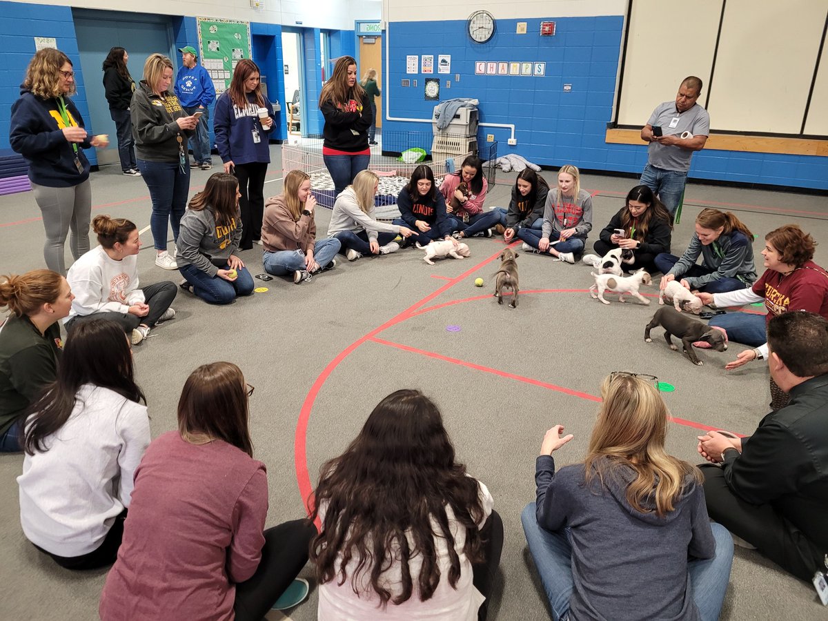 Vseppa2's tweet photo. The BEST way to start our day! Puppy Playdate!
Thank you Rover Rescue for the SEL boost! 
@GombertGators https://t.co/UrVunzeo7f