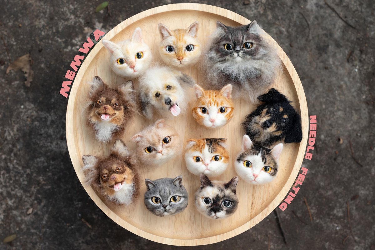 memwa_handmade's tweet image. วันแห่งความรักใกล้เข้ามาแล้ว ส่งเจ้าก้อนความรักกลับบ้านนนนนนนนนนนน 😍
#minicat #minidog #handmade #needlefelting #needlework #needlefelted #needlefelt #woolart #woolfelted #woolfelting #cat #catart #catface #dog #dogart #dogface #art #ใยขนแกะ #羊毛フェルト作品 #羊毛フェルト