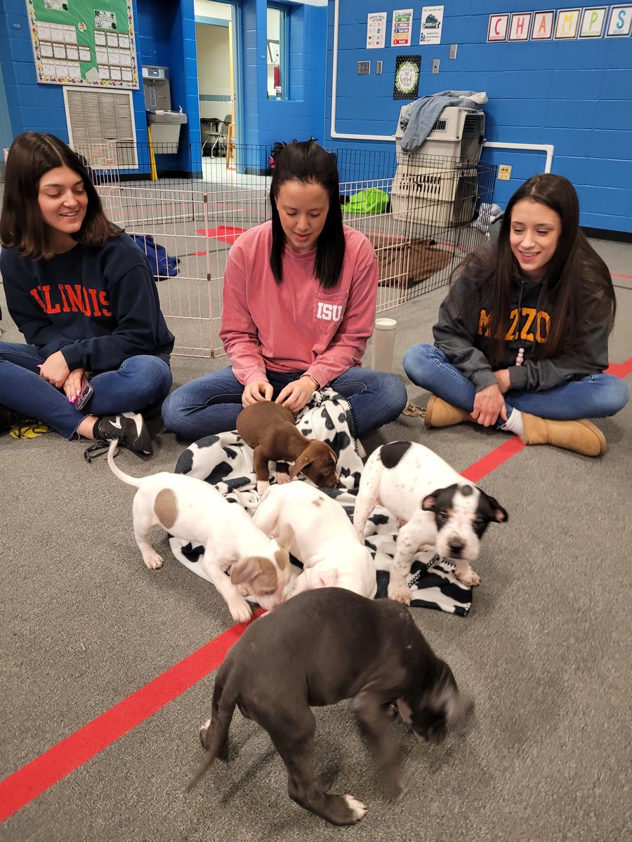Vseppa2's tweet photo. The BEST way to start our day! Puppy Playdate!
Thank you Rover Rescue for the SEL boost! 
@GombertGators https://t.co/UrVunzeo7f