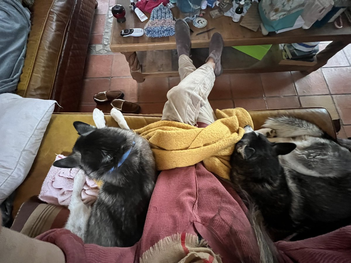 InYourBones tweet media