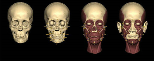 brownkjs's tweet image. Maternal genes detected in some of the ancient bones of the Neolithic Age in Gadeokdo Island, South Korea, are H-type mitochondrial DNA, with 47% of modern Europeans having this type of maternal DNA.kjs3540.tistory.com/847