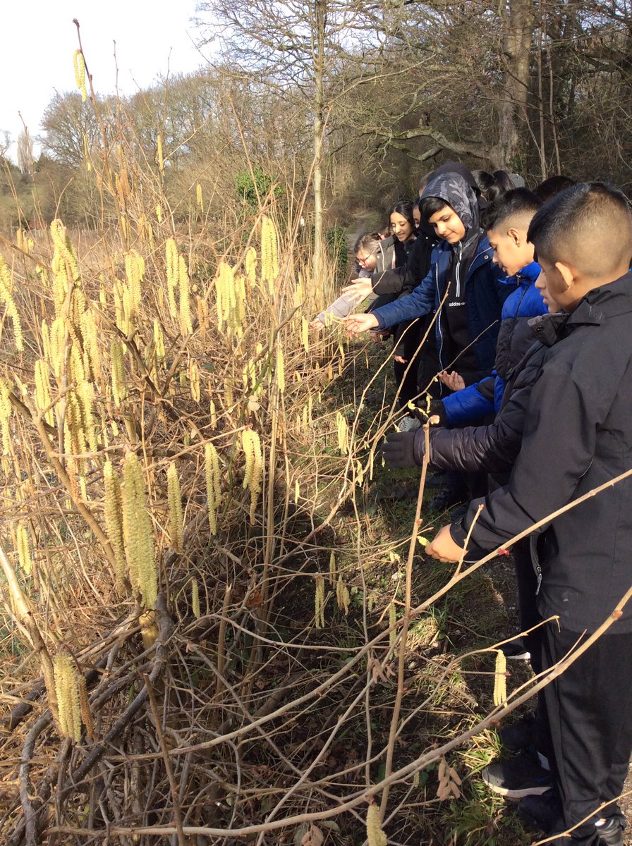 ECS_Keighley's tweet photo. Today year 6 visited Bingley North Bog. We discussed valleys, waterways, habitats and signs of spring #outdoorlearning #CLOtC #canalrivertrust #itsnearlyspring https://t.co/c3n12g2a8c