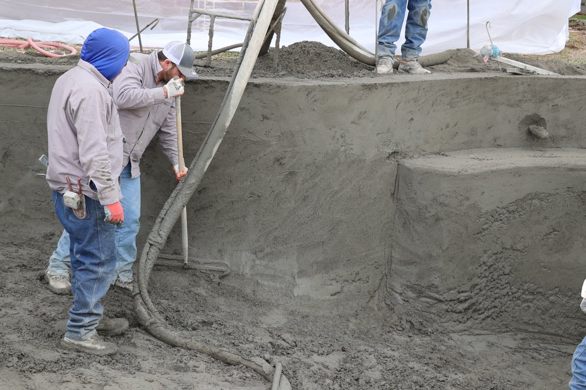 southrnchrmpool's tweet image. It's a good day when you wake up to this! If you're ready to start the backyard of your dreams, give us a call and turn dreams into reality ❤️
.
#Poolandspanews #Poolandspamagazine #PoolNation #PoolNationPodcast #MasterPoolGuide #SouthernCharmPools #Pools #PoolParty #BackYard