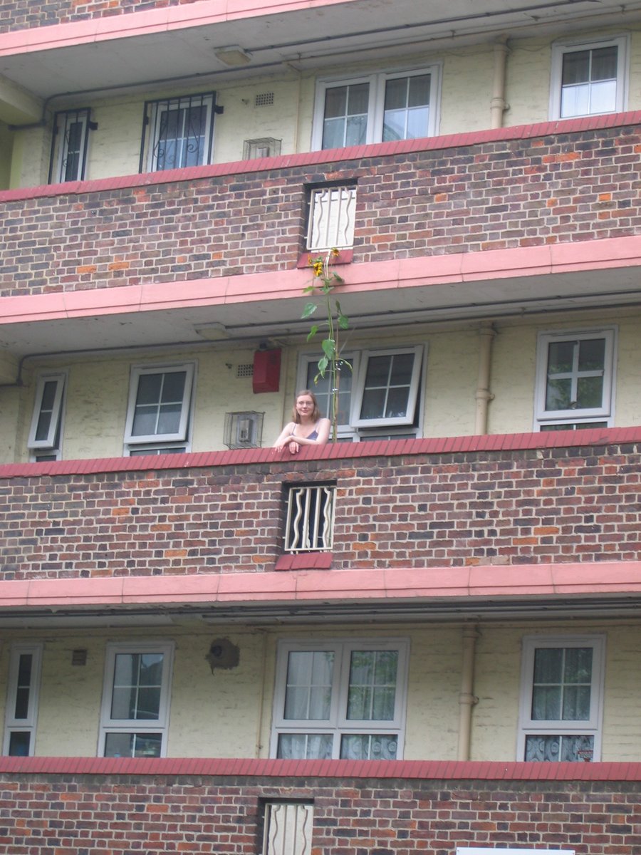 Holly Hopkins tweet media