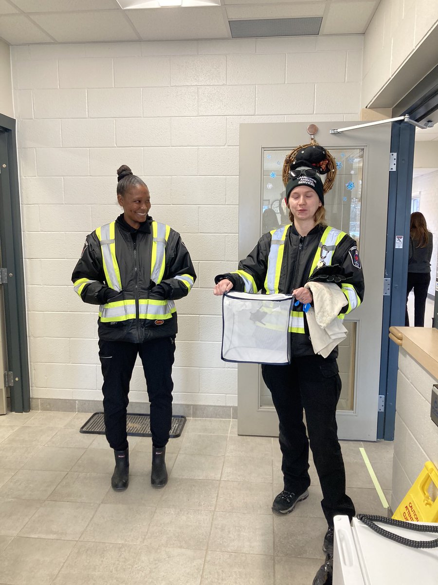 Big thanks to Cambridge Animal Services for picking up <a href="/AberfoylePS/">Aberfoyle PS</a> batty pal. I’m sure they will find a comfy spot for them in a tree or sheltered spot and they will be back to munching mosquitoes in the spring!