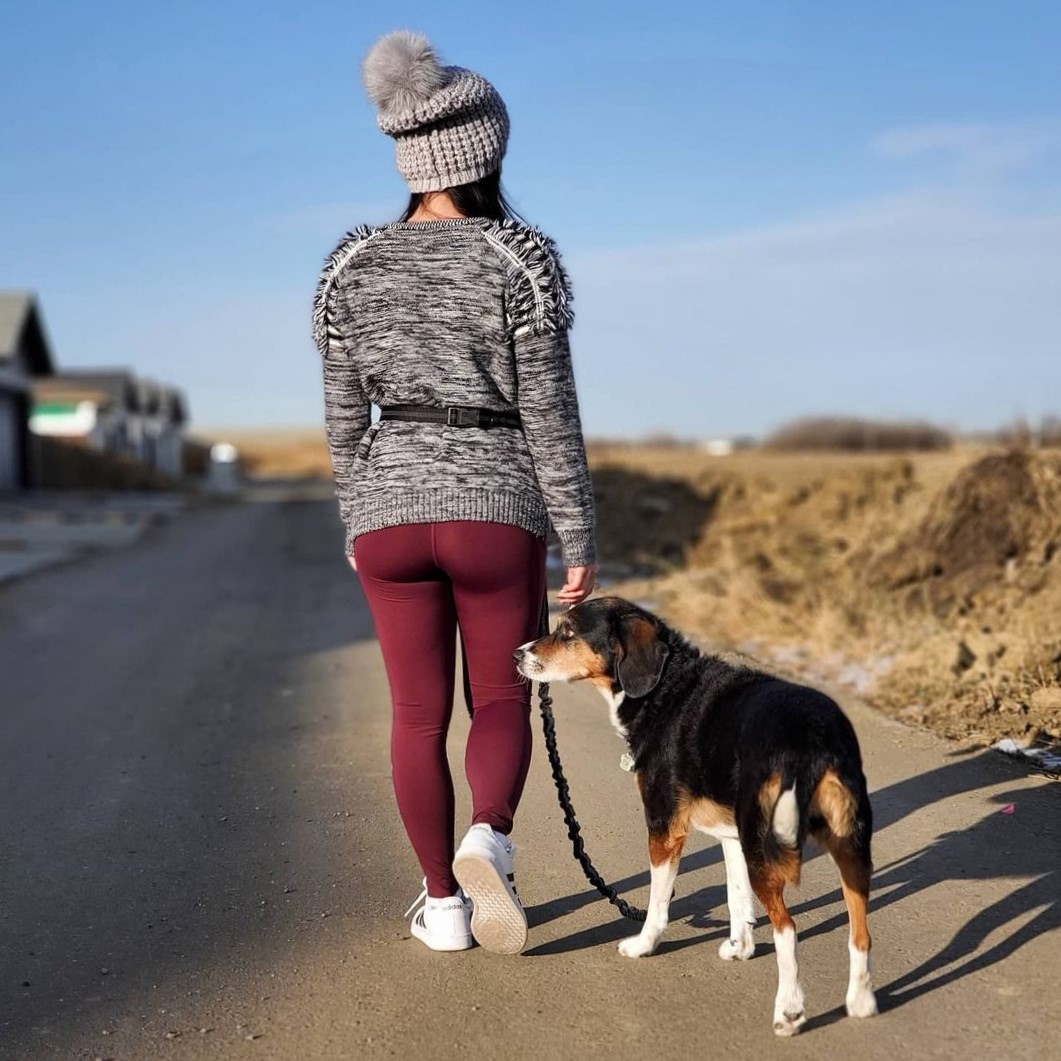 You just have to find out and be amazed for yourself. Be changed with the hands-free dog walking experience! #dogsoftwitter #dogs #sparklypetsleash