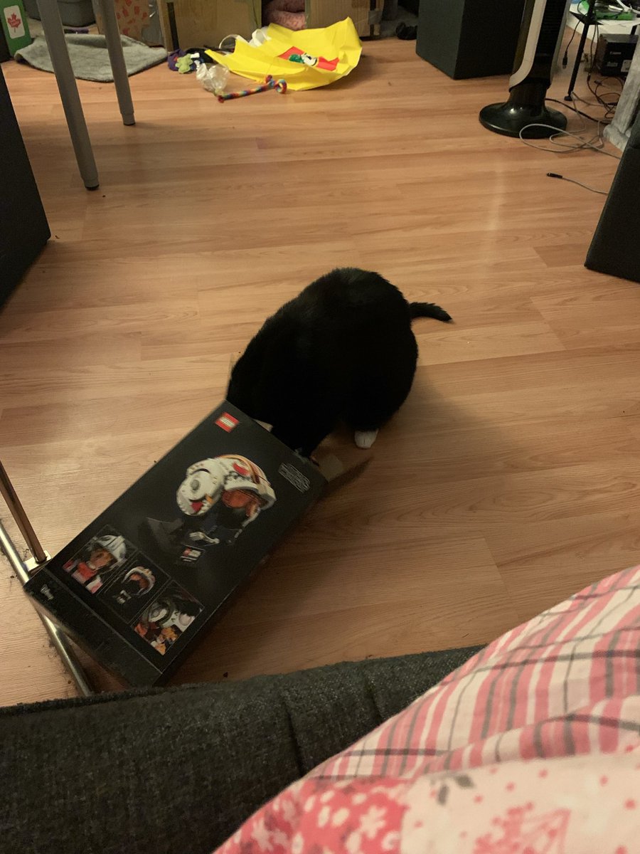 fenrisfang's tweet photo. @iheartedmonton Does this count? 🤣 https://t.co/kulettnta2