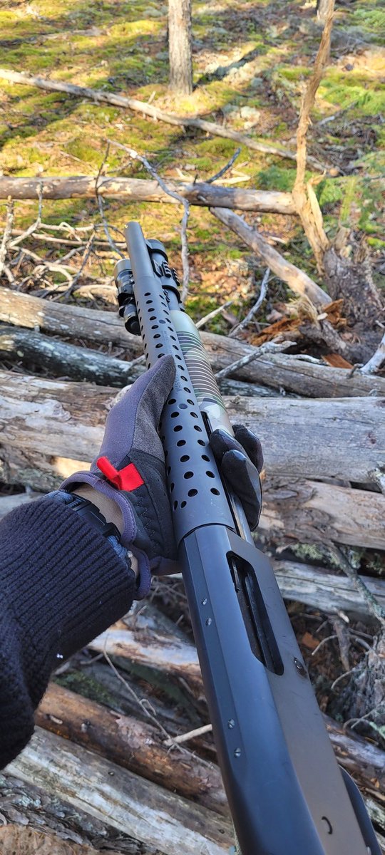 westcanadacarry's tweet photo. Innawoods boom stick 590

#shotgun #camping #tenting #forest #hikingadventures #pewpew #woods #manitoba #backpacking https://t.co/PtqRABpJLo