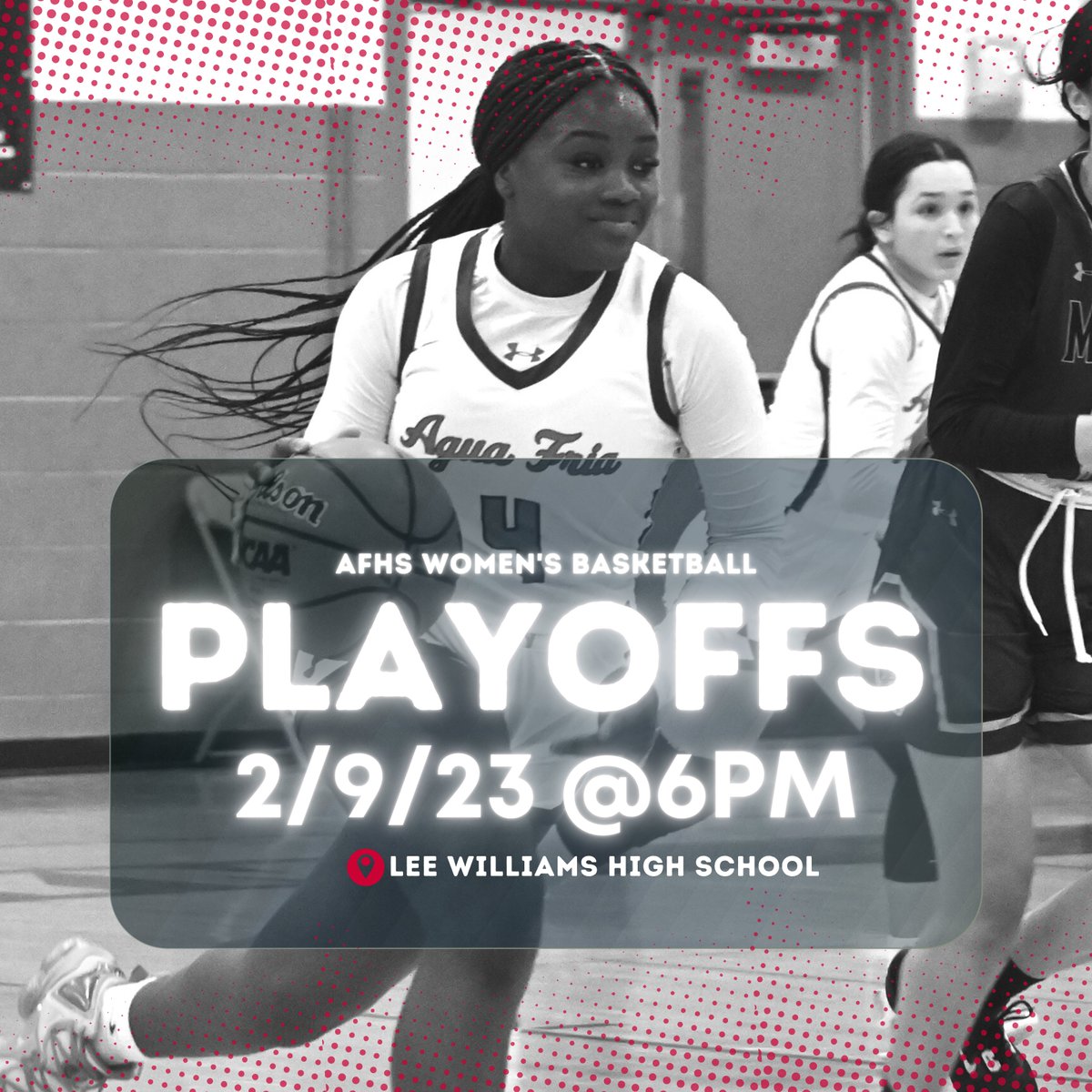Tomorrow night at Lee Williams High School the Women's Basketball Team will compete in the Playins!