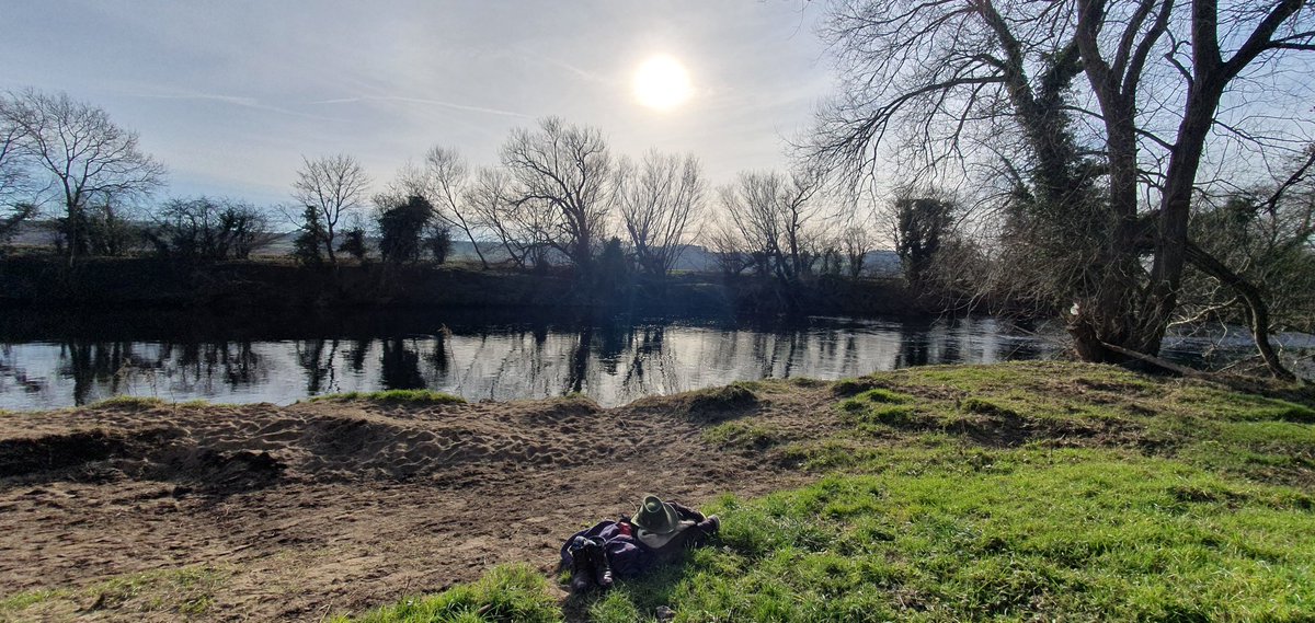 Matt Broom tweet media