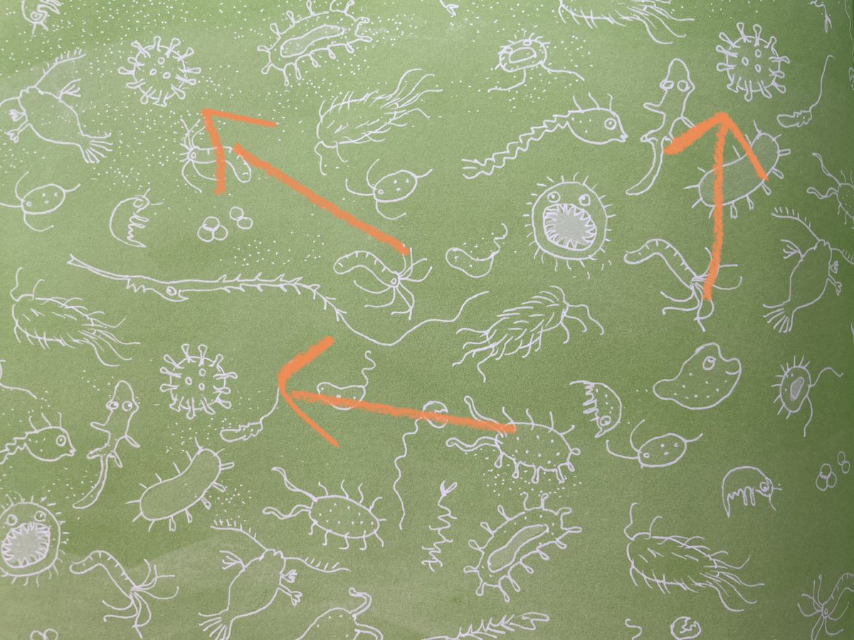 Hey @NancyCarpntr! When I was doing school visits last week the kids noticed what they suspect is an Easter egg on the endpapers of THE GREAT STINK. Inquiring minds want to know: is this the Coronavirus!? #easteregg #coronavirus #STEMeducation #nonfictionforkids