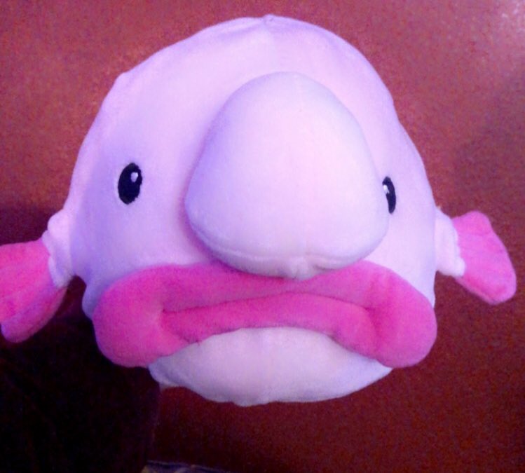 Go follow my new account dedicated to streaming content!! While you’re there check me out on twitch!
<a href="/almost_poetic/">Poe</a> 

twitch.tv/almost_poetic