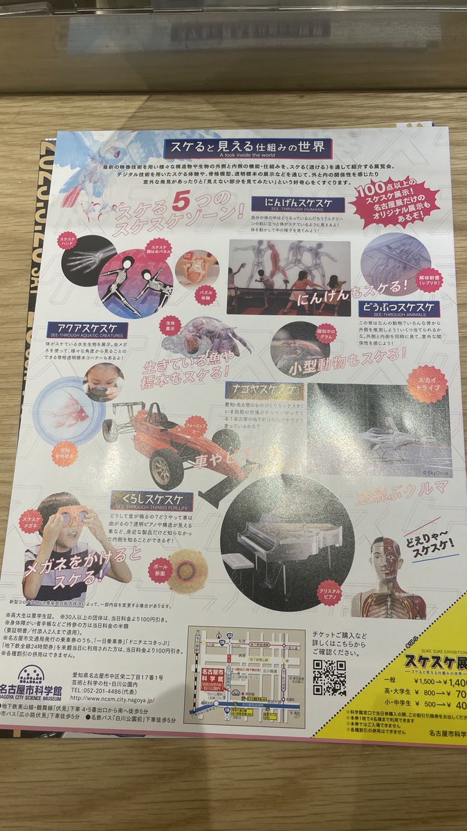 スケスケ展 in TOKYO 平日入場券 - 通販 - toptelha.net.br