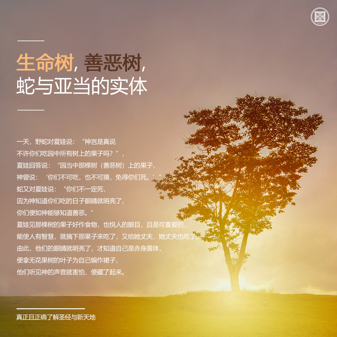 scjchurch_zh's tweet photo. [生命树、善恶树、蛇与亚当的实体]

#真正且正确认识_圣经与_新天地 #真圣新 #韩国 #感谢 #信心 #信仰 #信仰生活 #教会 #福音 #圣经 #默想 #祈祷 #基督教 #QT #新天地_耶稣教会 #12枝派 https://t.co/OWLKTmOleL