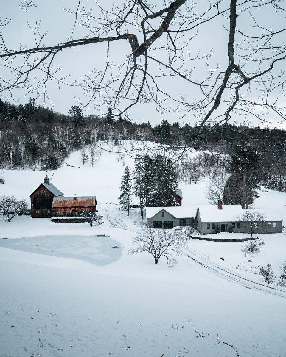 gonewithshaun tweet media