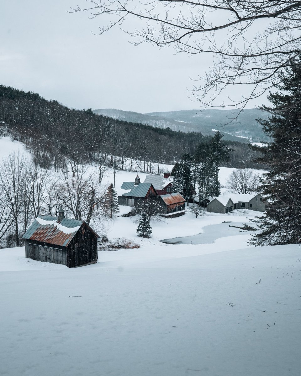 gonewithshaun tweet media