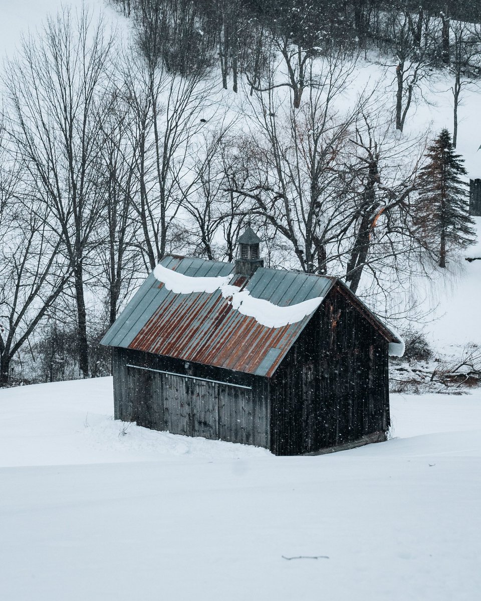 gonewithshaun tweet media