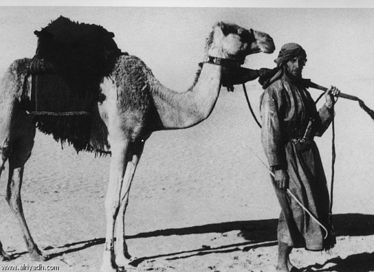 makkawi_aha's tweet photo. تتداول بعض مواقع التواصل أو الصحف بين حين وآخر بعض العبارات التي تفيد أن أهل الجزيرة العربية   والحرمين خاصة كانوا  يتحرون الصدقات القادمة من خارج الجزيرة ، وكانوا يعتاشون منها أو يعيشون عليها ، والحقيقة أن هذا الموضوع رسخته بعض الكتابات التاريخية السابقة ،
 
يتبع : https://t.co/qwGOxCDXQn
