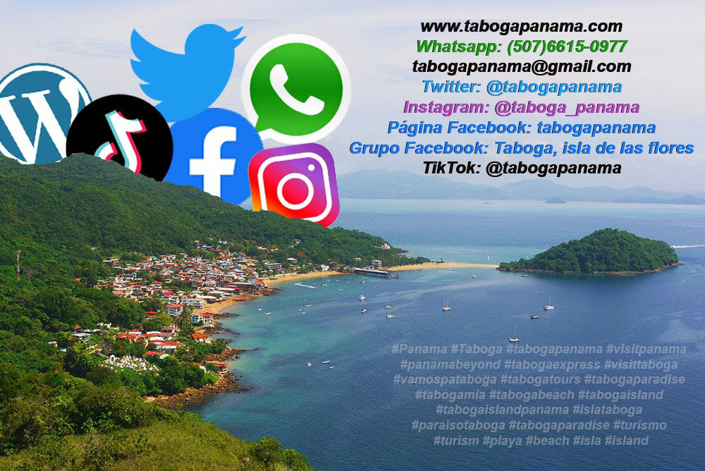Taboga Panamá 🇵🇦 tweet media