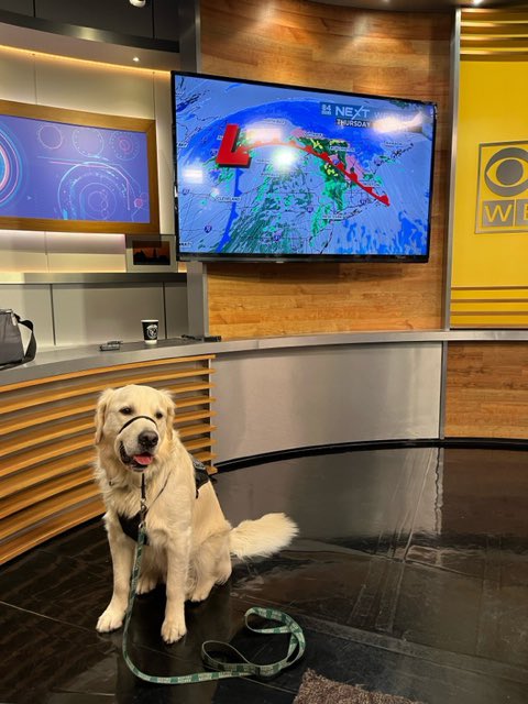 Wait a minute… that’s not @zackgreenwx doing weather this AM…that’s @babson’s community resource dog, Roger! Hopefully Roger has a little snow in his 7 day forecast! ❄️ ⛄️