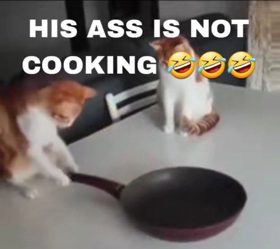 reactjpg's tweet photo. cats with frying pan his ass is not cooking https://t.co/MQyvEPRvgj