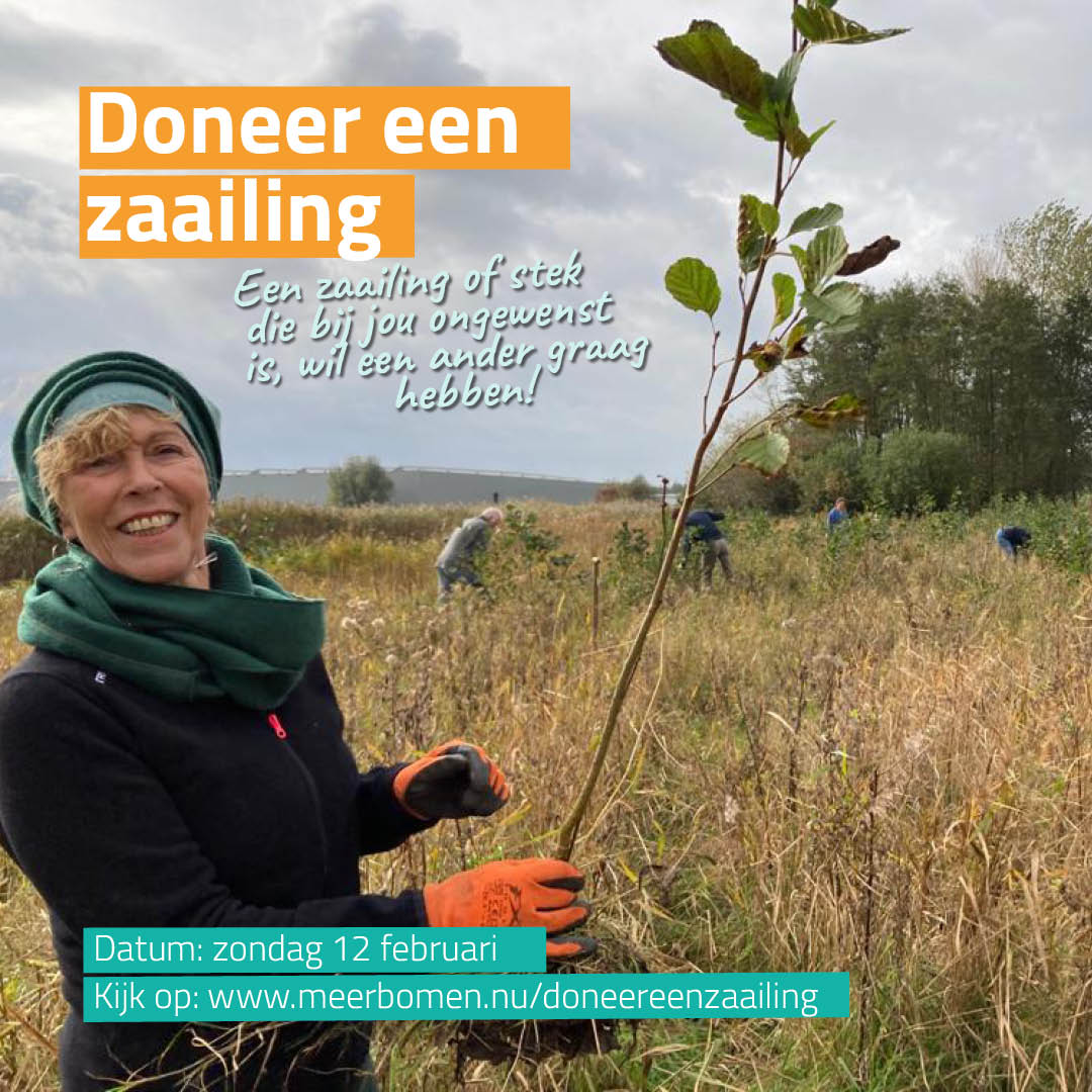Aanstaande zondag 12 februari kan iedereen ongewenste zaailingen, slieten en stekken uit de tuin inleveren op tal van plekken door het hele land. Zo krijgen ze een tweede kans. Doe je mee? #verplanteenboom voor #klimaat en #biodiversiteit 
Ga naar meerbomen.nu/doneereenzaail…