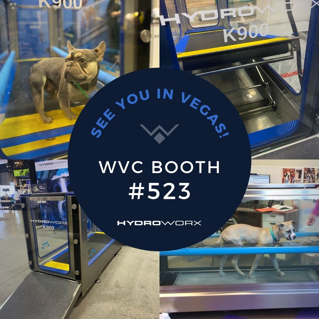 HydroWorx's tweet image. We&apos;re excited to be at WVC in Vegas next week, February 19-22! Attendees can learn all about our K900 underwater treadmill for veterinary rehab. Our team can&apos;t wait to meet you! Stop by booth #523. #WVC2023