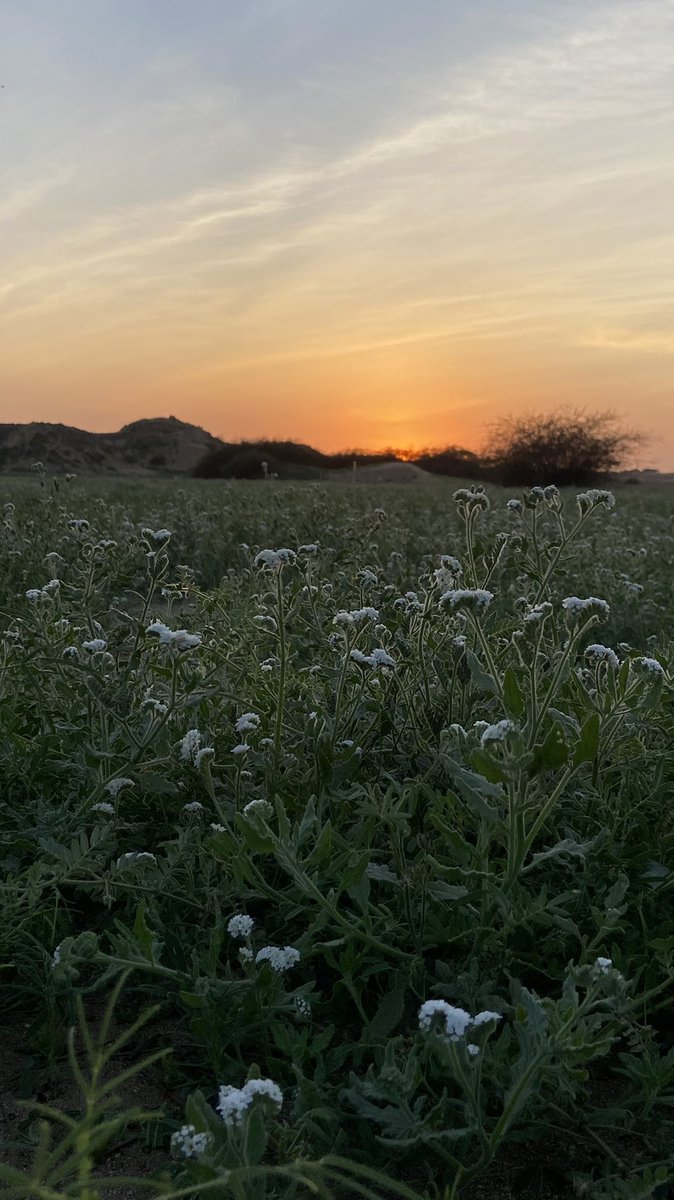 عـبـدالـكريم الـوجـره tweet media