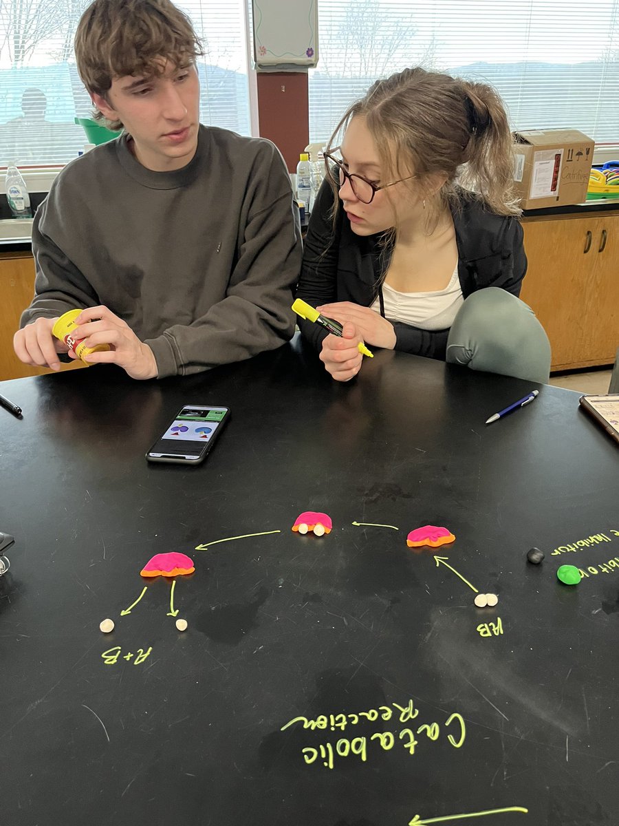 Melissa Bryant tweet media