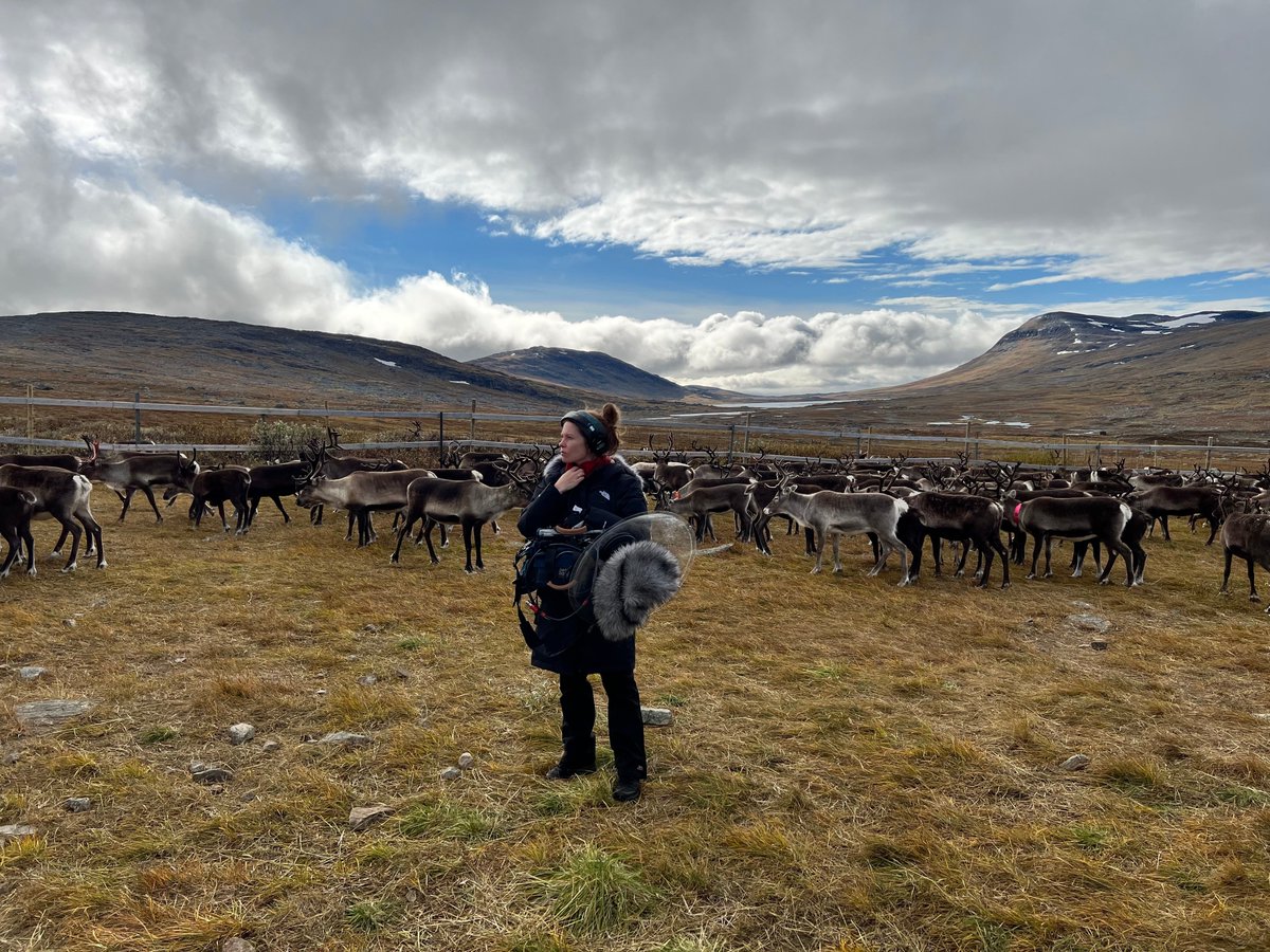 invisible flock (@invisibleflock) on Twitter photo Today we present the third episode of the <a href="/LBecologies/">Land Body Ecologies</a> podcast - The End of This World. It journeys through Sápmi, from Jåhkåmåhkke to Vájsáluokta.
This episode tells a story of several losses: of beings, of entire landscapes, and of cultural practices. spoti.fi/3I5IyGy Today we present the third episode of the <a href="/LBecologies/">Land Body Ecologies</a> podcast - The End of This World. It journeys through Sápmi, from Jåhkåmåhkke to Vájsáluokta.
This episode tells a story of several losses: of beings, of entire landscapes, and of cultural practices. spoti.fi/3I5IyGy