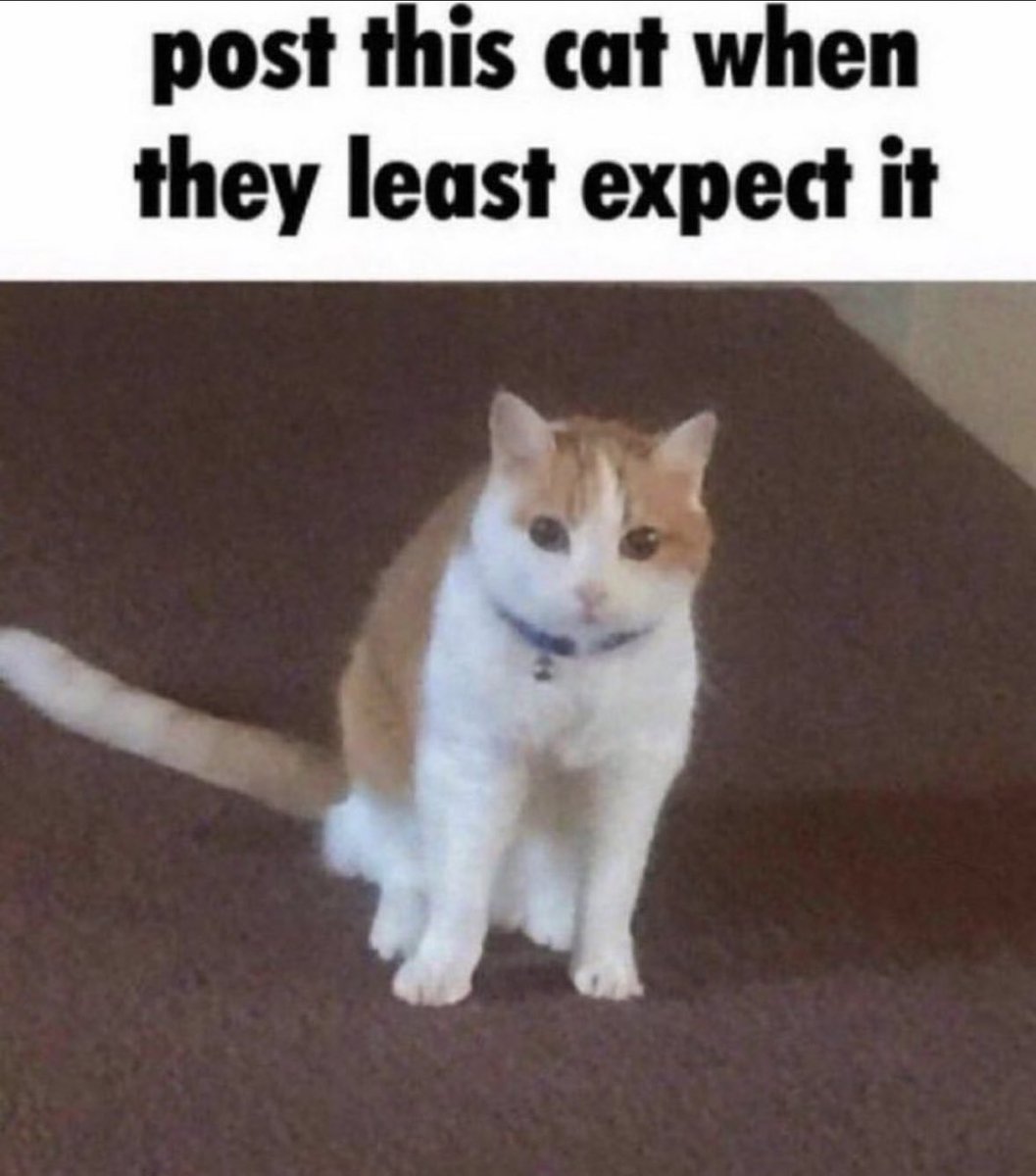 raithefruitguy's tweet image. 