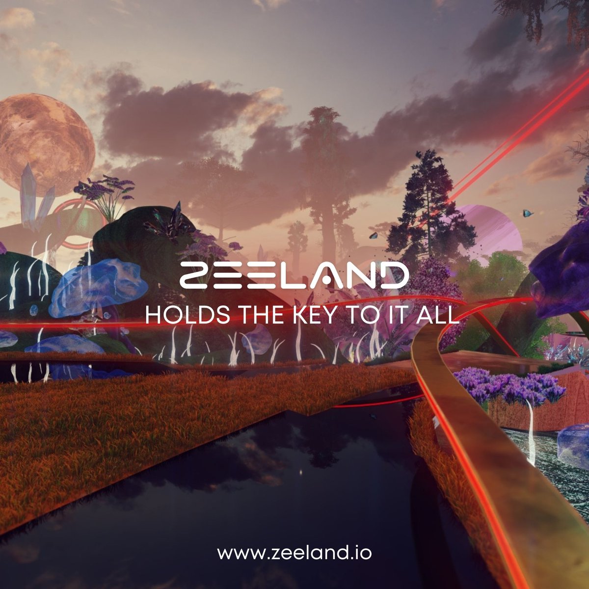 Zeeland NFT tweet media