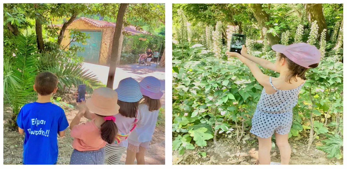 ARSINOE_EU's tweet photo. Τ4Τ 3-day seminar, organized by @eliamepgr and @EDoussis, is coming to an end. Over 60 teachers have joined to receive training on climate change! We focused on #CitizenScience and #Citizen Observatories with biodiversity observations obtained by students via apps! @Cos4Cloud https://t.co/DISL6Qf2gy