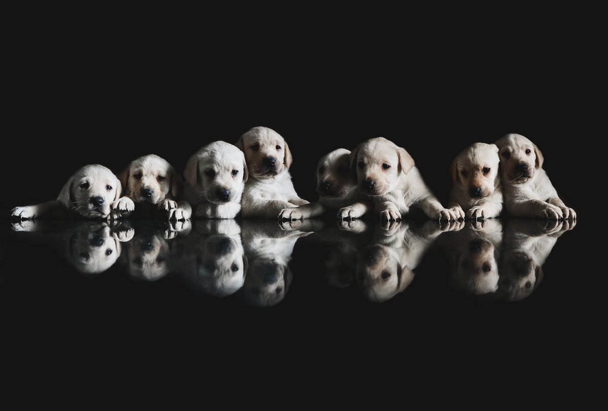 Jim Parsons tweet media