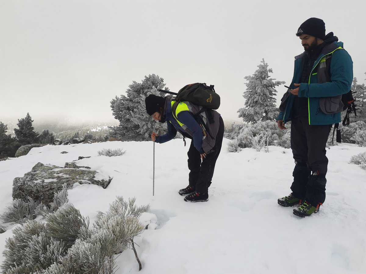 interMET tweet media