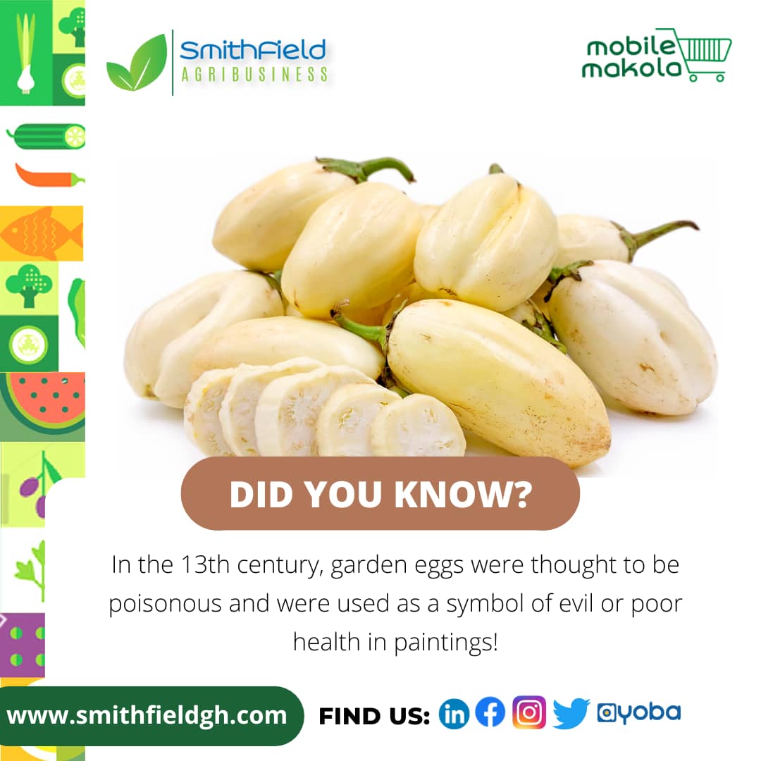 SmithField_Gh's tweet photo. Bet you never knew this!!
#pulseghana #smithfieldagribusiness #didyouknow #funfacts https://t.co/2MYQBUUXFf