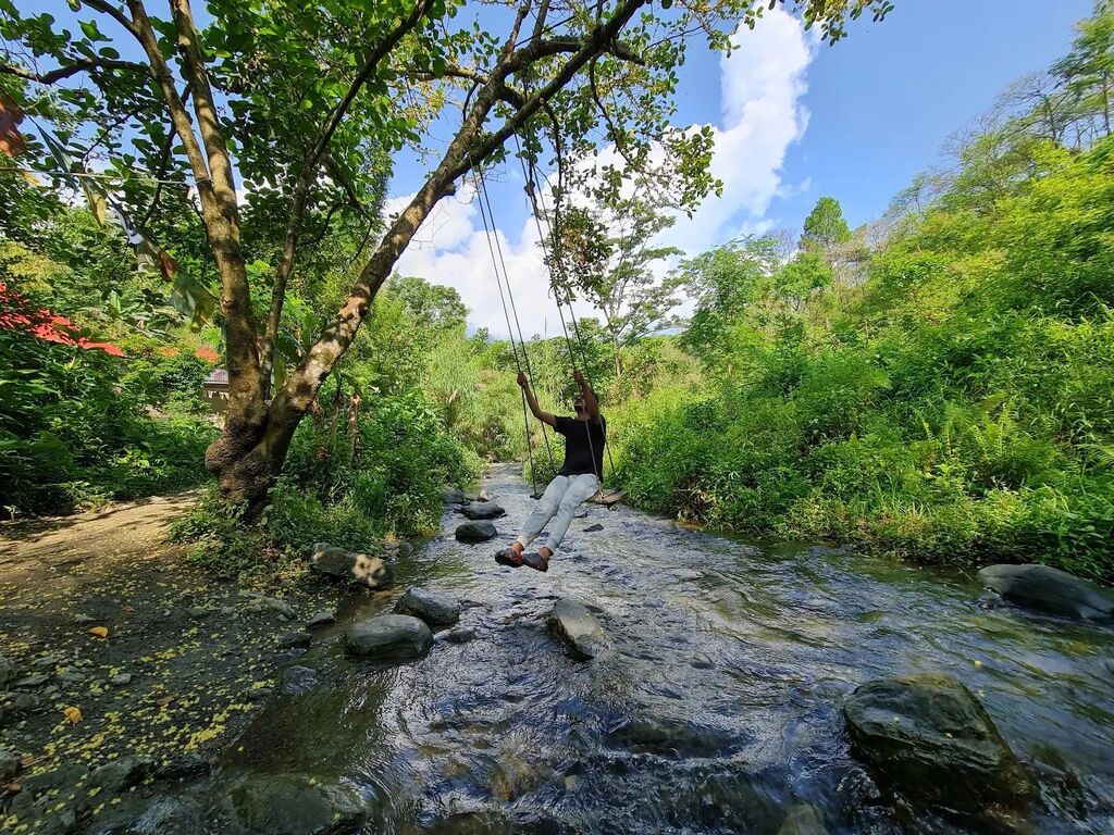 RifAtShoAb's tweet photo. Get a swing... coz they'll never tell you to stop flying!

.
.
.
#naturetrail #nature #naturephotography #hiking #naturelovers #photography #travel #trail #naturelover #forest #outdoors #hike #adventure #trees #landscapephotography #landscape #naturewalk #naturetrails #wildl… https://t.co/z8MQobox7r