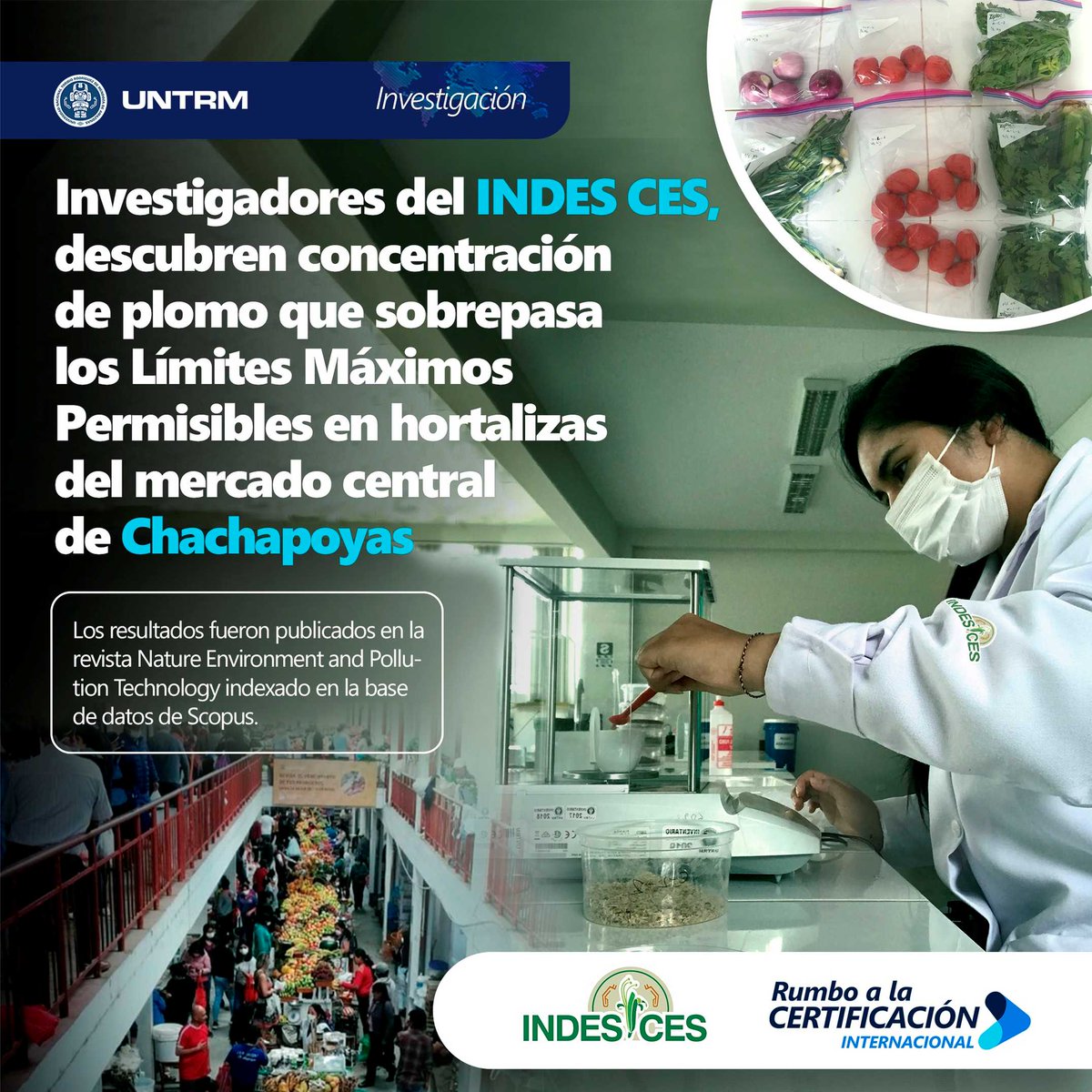 cesindes1's tweet photo. ✅Investigadores del @cesindes1 de la @untrm, descubren concentración de plomo que sobrepasa los Límites Máximos Permisibles en hortalizas del mercado central de Chachapoyas 🤓 https://t.co/47rhQTFO4J
