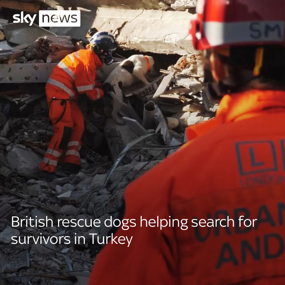 Sky News on Twitter "UK rescue teams have brought search dogs to help