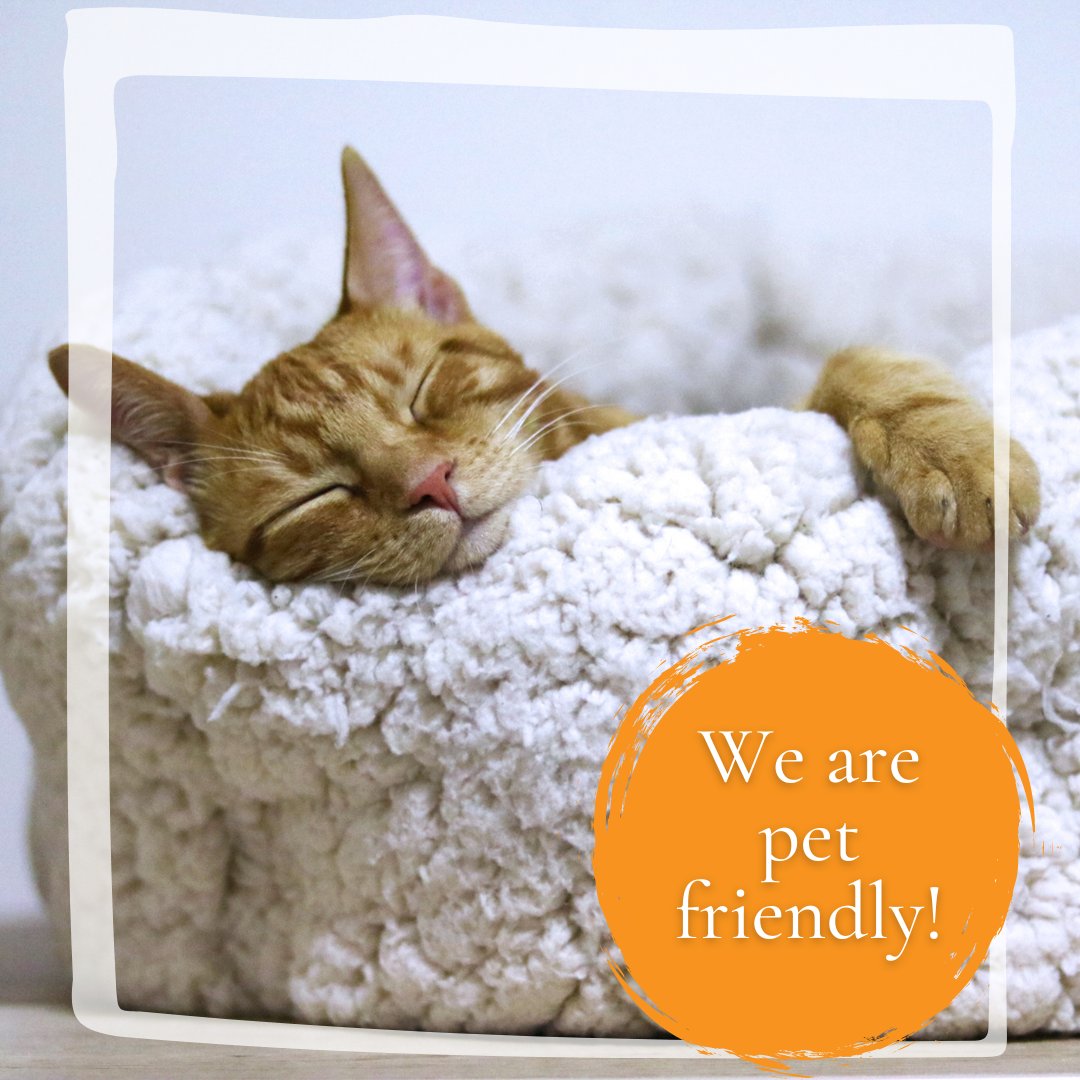 Choose Shangri La as your fur-ever home, because your fluffy friend deserves the best! 🐾